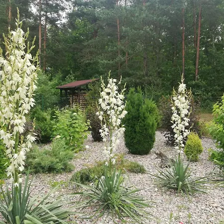 别墅 Cudodomek W Mrozach Wielkich Kolo Elku