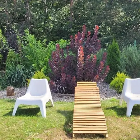 Cudodomek W Mrozach Wielkich Kolo Elku 厄尔科