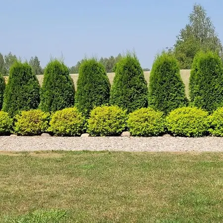 Cudodomek W Mrozach Wielkich Koło Ełku Willa *