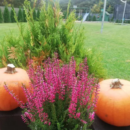 Cudodomek W Mrozach Wielkich Kolo Elku 别墅 厄尔科