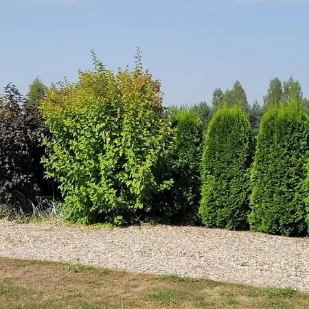Cudodomek W Mrozach Wielkich Koło Ełku Willa