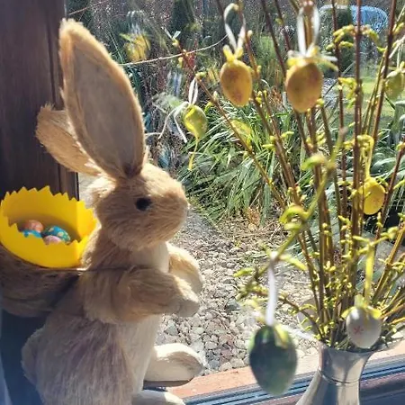 فيلة Cudodomek W Mrozach Wielkich Kolo Elku