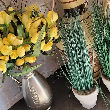 Cudodomek W Mrozach Wielkich Kolo Elku فيلة *